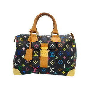 Louis Vuitton Multicolor Speedy Handbag